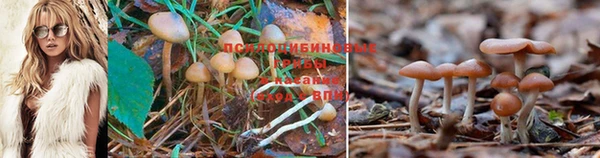 таблы Балабаново
